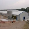 Steel Poultry House (PS-002)
