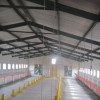 Steel Poultry Shed (PS-002)