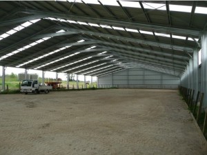 Steel Structure Horse Arena