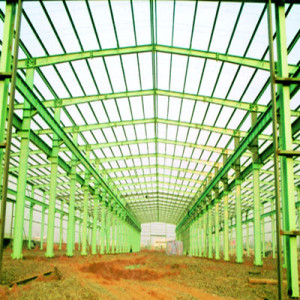Steel Structure Warehouse/Building (SSW-025)