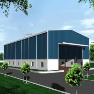 Steel Structure Warehouse (SSW-021)